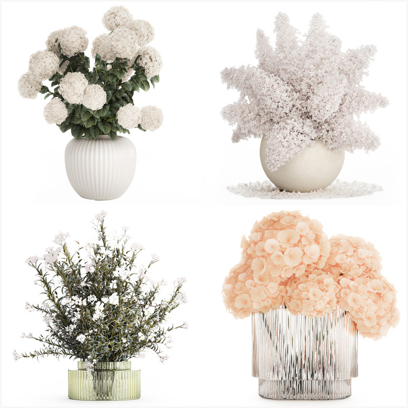 Collection white realistic bouquets of hydrangea 617 3D Model .c4d .max .obj .3ds .fbx .stl .blend
