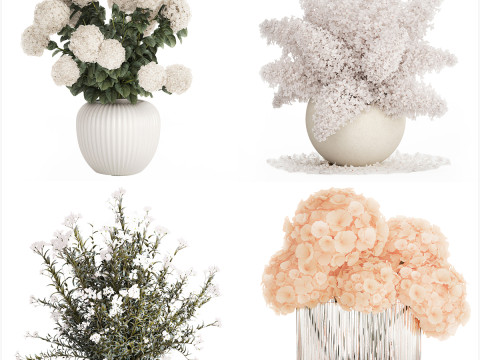 Collection white realistic bouquets of hydrangea 617 3D Model