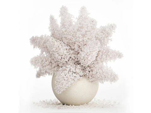 Sammlung wei&szlig;e realistische Hortensienstr&auml;u&szlig;e 617 3D Modell