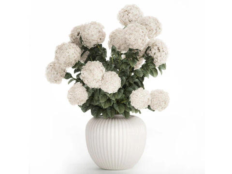 Sammlung wei&szlig;e realistische Hortensienstr&auml;u&szlig;e 617 3D Modell