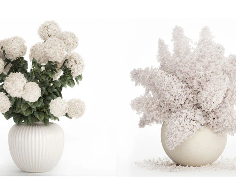 Sammlung wei&szlig;e realistische Hortensienstr&auml;u&szlig;e 617 3D Modell