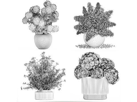 Sammlung wei&szlig;e realistische Hortensienstr&auml;u&szlig;e 617 3D Modell