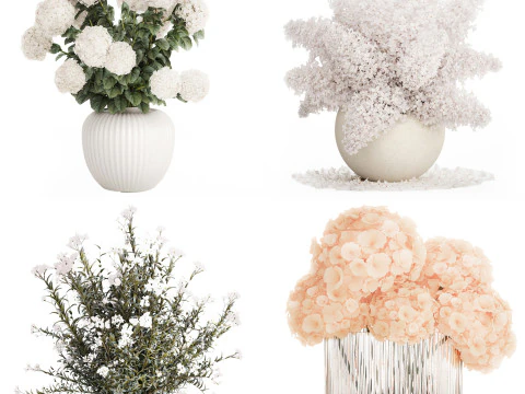 Sammlung wei&szlig;e realistische Hortensienstr&auml;u&szlig;e 617 3D Modell