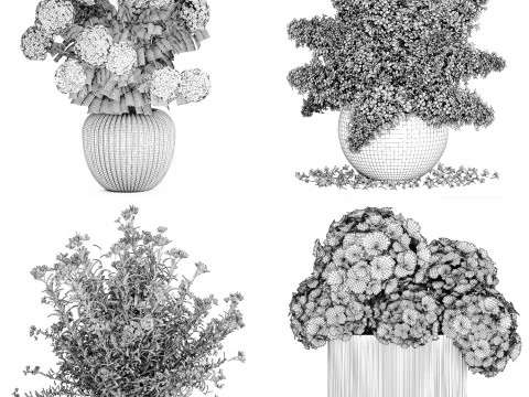 Sammlung wei&szlig;e realistische Hortensienstr&auml;u&szlig;e 617 3D Modell