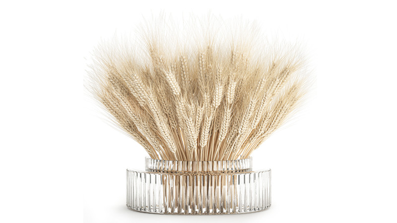 Realistic White Bouquet Wheat Ears Modern Vase 618 3Dモデル .c4d .max .obj .3ds .fbx .stl .blend