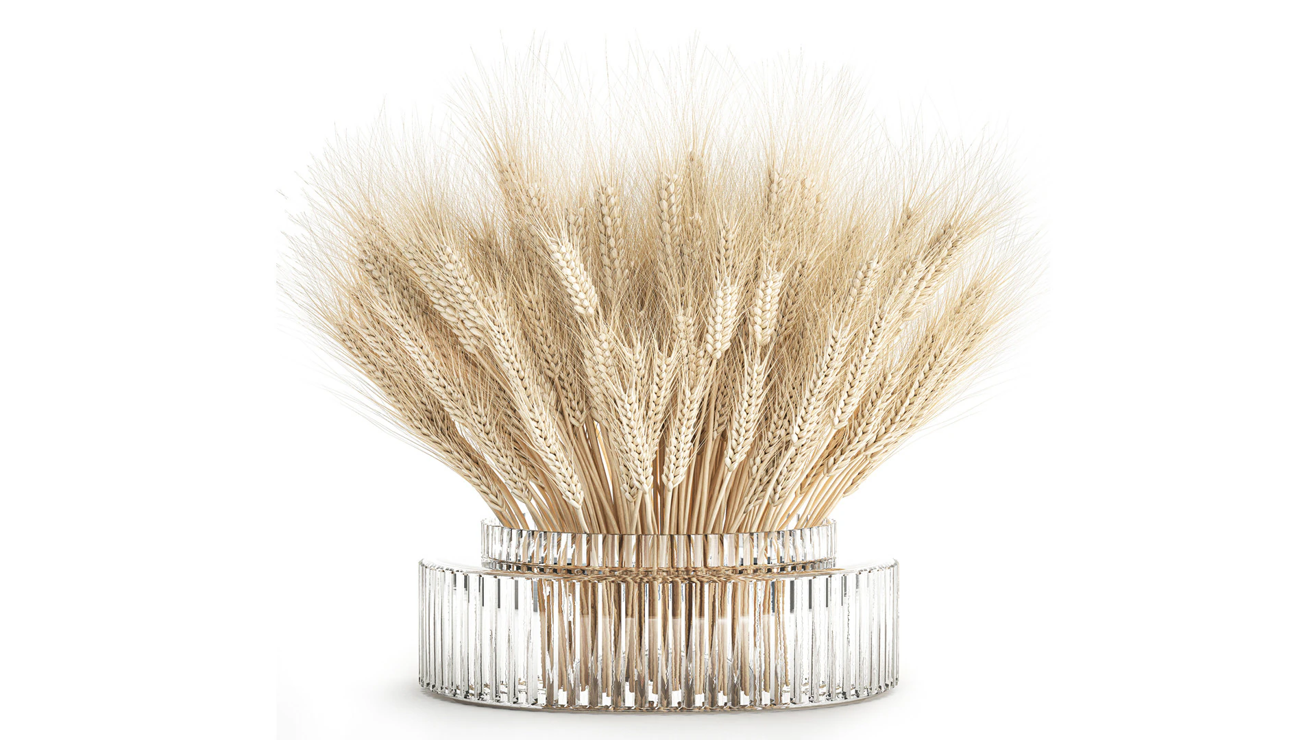 Realistic White Bouquet Wheat Ears Modern Vase 618 3D Model .c4d .max .obj .3ds .fbx .stl .blend