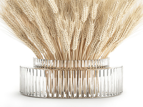Realistic White Bouquet Wheat Ears Modern Vase 618 3Dモデル