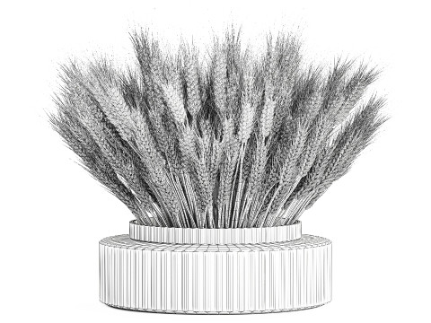 Realistic White Bouquet Wheat Ears Modern Vase 618 3Dモデル