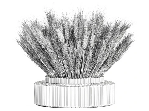 Realistic White Bouquet Wheat Ears Modern Vase 618 3D Model