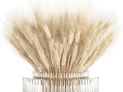 Realistic White Bouquet Wheat Ears Modern Vase 618 3Dモデル