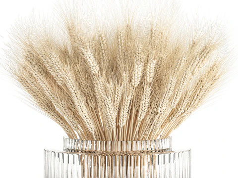 Realistic White Bouquet Wheat Ears Modern Vase 618 3D Model