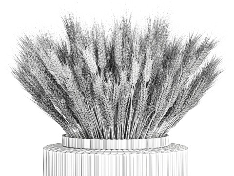 Realistic White Bouquet Wheat Ears Modern Vase 618 3Dモデル