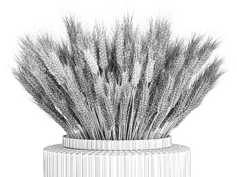 Realistic White Bouquet Wheat Ears Modern Vase 618 3D Model