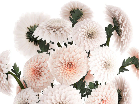 Realistic white Chrysanthemum bouquet modern vase 619 3D Model