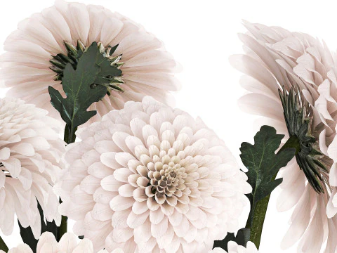 Realistic white Chrysanthemum bouquet modern vase 619 3D Model