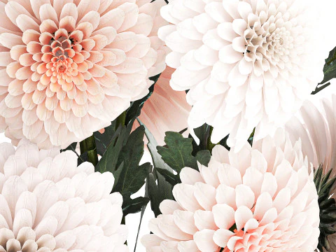 Realistic white Chrysanthemum bouquet modern vase 619 3D Model