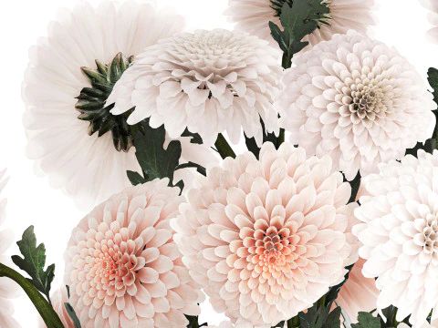 Realistic white Chrysanthemum bouquet modern vase 619 3D Model
