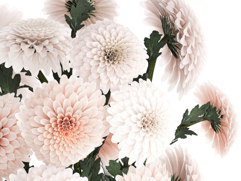 Realistic white Chrysanthemum bouquet modern vase 619 3D Modell