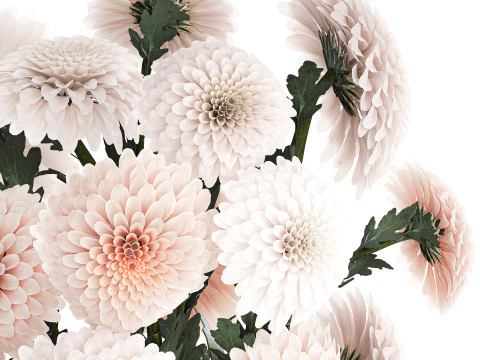 Realistic white Chrysanthemum bouquet modern vase 619 3D Model