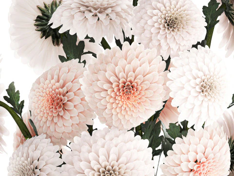 Realistic white Chrysanthemum bouquet modern vase 619 3D Model