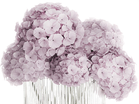 Modern Realistic Bouquet glass Vase Lilac Hydrangea 620 3D Model