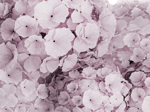 Modern Realistic Bouquet glass Vase Lilac Hydrangea 620 3D Model