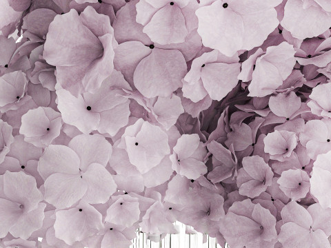 Modern Realistic Bouquet glass Vase Lilac Hydrangea 620 3D Model
