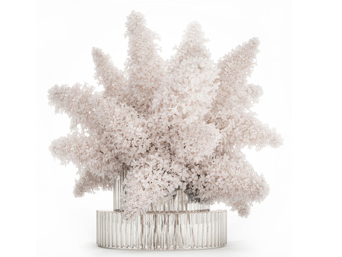 White Realistic Bouquets Hydrangea Lilac Poppy 621 3D मॉडल