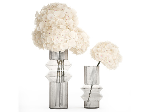 White Realistic Bouquets Hydrangea Lilac Poppy 621 3D मॉडल