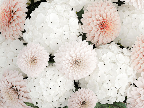 Realistic White Bouquet Chrysanthemum Poppy hydrangea 622 3D Модель
