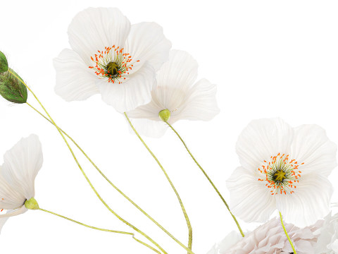Realistic White Bouquet Chrysanthemum Poppy hydrangea 622 3D Модель