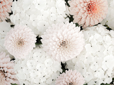 Realistic White Bouquet Chrysanthemum Poppy hydrangea 622 3D Модель
