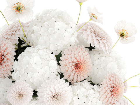 Realistic White Bouquet Chrysanthemum Poppy hydrangea 622 3D Модель
