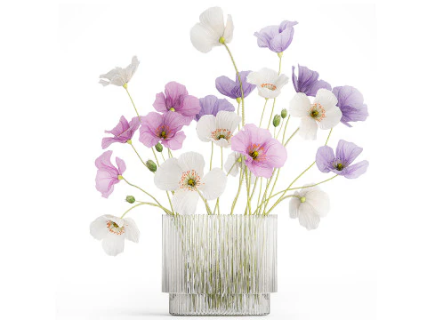 Realistic Bouquets Chamomile Chrysanthemum Poppy set 623 3D Model