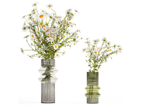 Realistic Bouquets Chamomile Chrysanthemum Poppy set 623 Modelo 3D