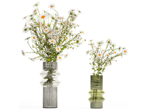 Realistic Bouquets Chamomile Chrysanthemum Poppy set 623 3D Model