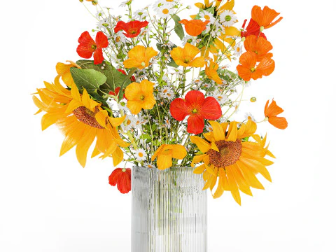 Realistic Bouquets Chamomile Chrysanthemum Poppy set 623 3D Model