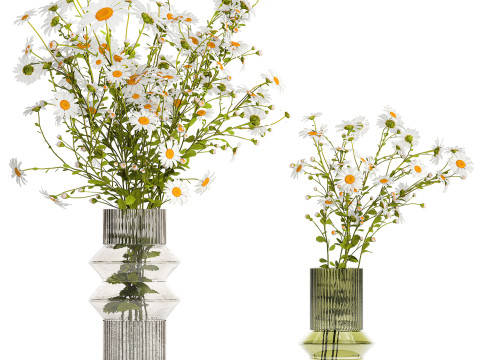 Realistic Bouquets Chamomile Chrysanthemum Poppy set 623 Modelo 3D