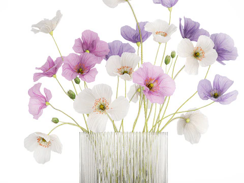 Realistic Bouquets Chamomile Chrysanthemum Poppy set 623 3D Model