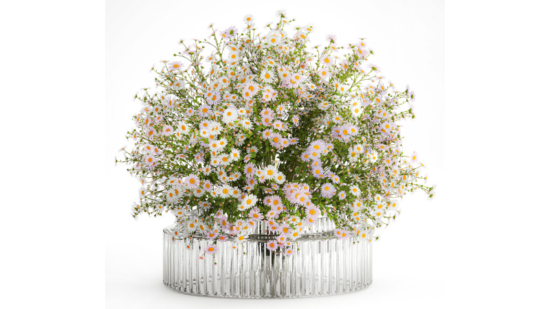 Realistic Bouquet Of White Daisy Flowers Chamomile glass vase 625 Modelo 3D .c4d .max .obj .3ds .fbx .stl .blend