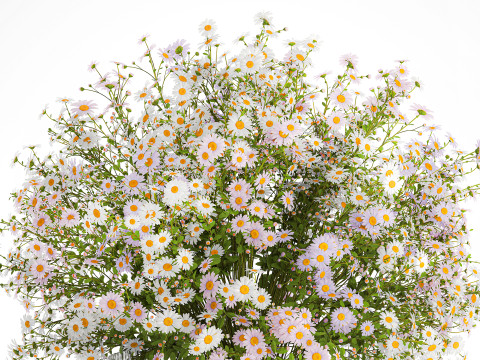 Realistic Bouquet Of White Daisy Flowers Chamomile glass vase 625 Modello 3D
