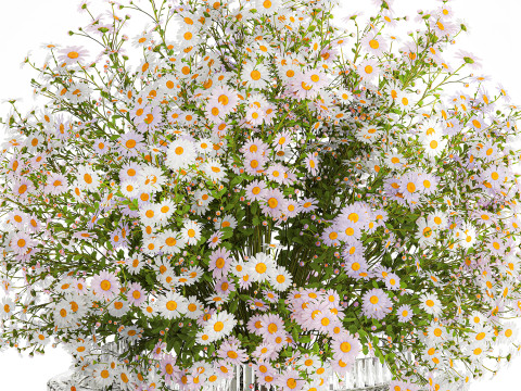 Realistic Bouquet Of White Daisy Flowers Chamomile glass vase 625 Modello 3D
