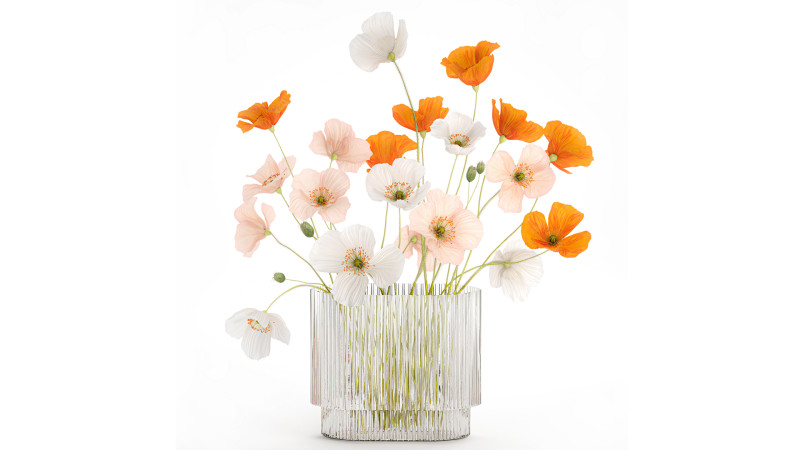 Beautiful Realistic Bouquet Of Wild Flowers Poppy glass vase 627 Modello 3D .c4d .max .obj .3ds .fbx .stl .blend