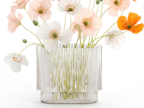 Beautiful Realistic Bouquet Of Wild Flowers Poppy glass vase 627 Modello 3D