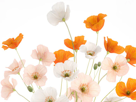 Wundersch&ouml;ner realistischer Blumenstrau&szlig; aus Wildblumen, Mohn-Glasvase 627 3D Modell