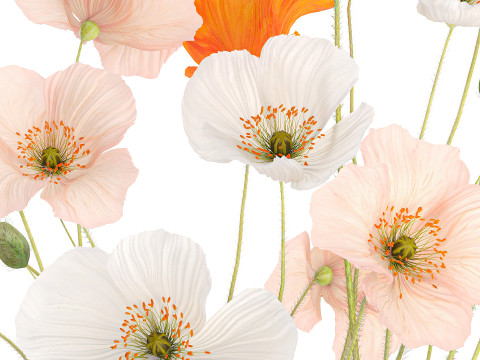 Beautiful Realistic Bouquet Of Wild Flowers Poppy glass vase 627 Modello 3D