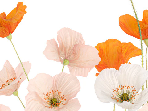 Wundersch&ouml;ner realistischer Blumenstrau&szlig; aus Wildblumen, Mohn-Glasvase 627 3D Modell