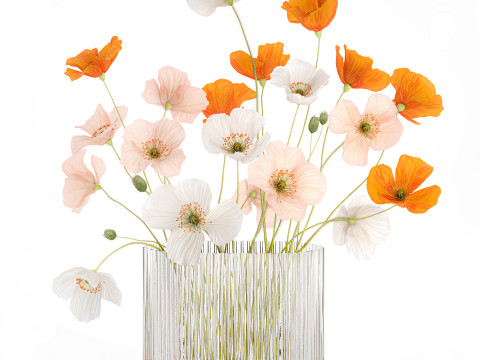 Beautiful Realistic Bouquet Of Wild Flowers Poppy glass vase 627 Modello 3D