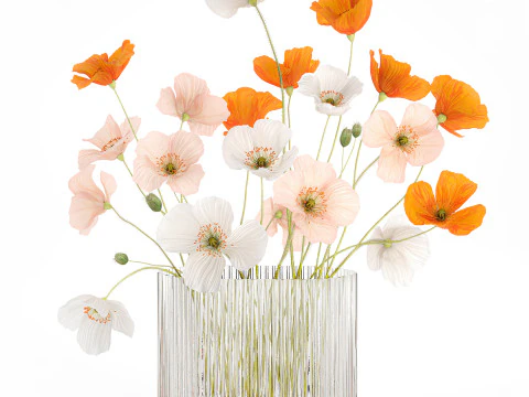 Wundersch&ouml;ner realistischer Blumenstrau&szlig; aus Wildblumen, Mohn-Glasvase 627 3D Modell