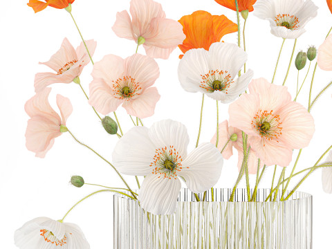 Beautiful Realistic Bouquet Of Wild Flowers Poppy glass vase 627 Modello 3D